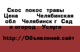 Скос (покос) травы  › Цена ­ 175 - Челябинская обл., Челябинск г. Сад и огород » Услуги   